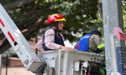 PARA PREVENIR RIESGOS, ALE ROJO DE LA VEGA ENCABEZA JORNADA DE PODA EN COLONIA CUAUHT?MOC