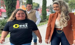 Respaldan a diputada Nora Arias en la Presidencia del PRD, Ciudad de M?xico