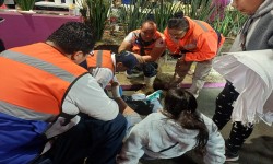 CON OPERATIVO PEREGRINO 2025, ALCALDIA CUAUHTEMOC ATENDIO A FELIGRESES EN SU PASO POR LA DEMARCACION