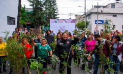 Nancy Nu?ez reforesta Azcapotzalco con Aqui si se Planta
