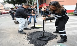 CON BACH?ALE, ALCALD?A CUAUHT?MOC LLEGA A 10 MIL BACHES ATENDIDOS